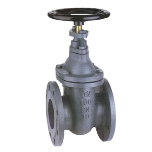 Unbranded Leengate 3" Cast Iron Gate Valve - Flanged PN6 V510211